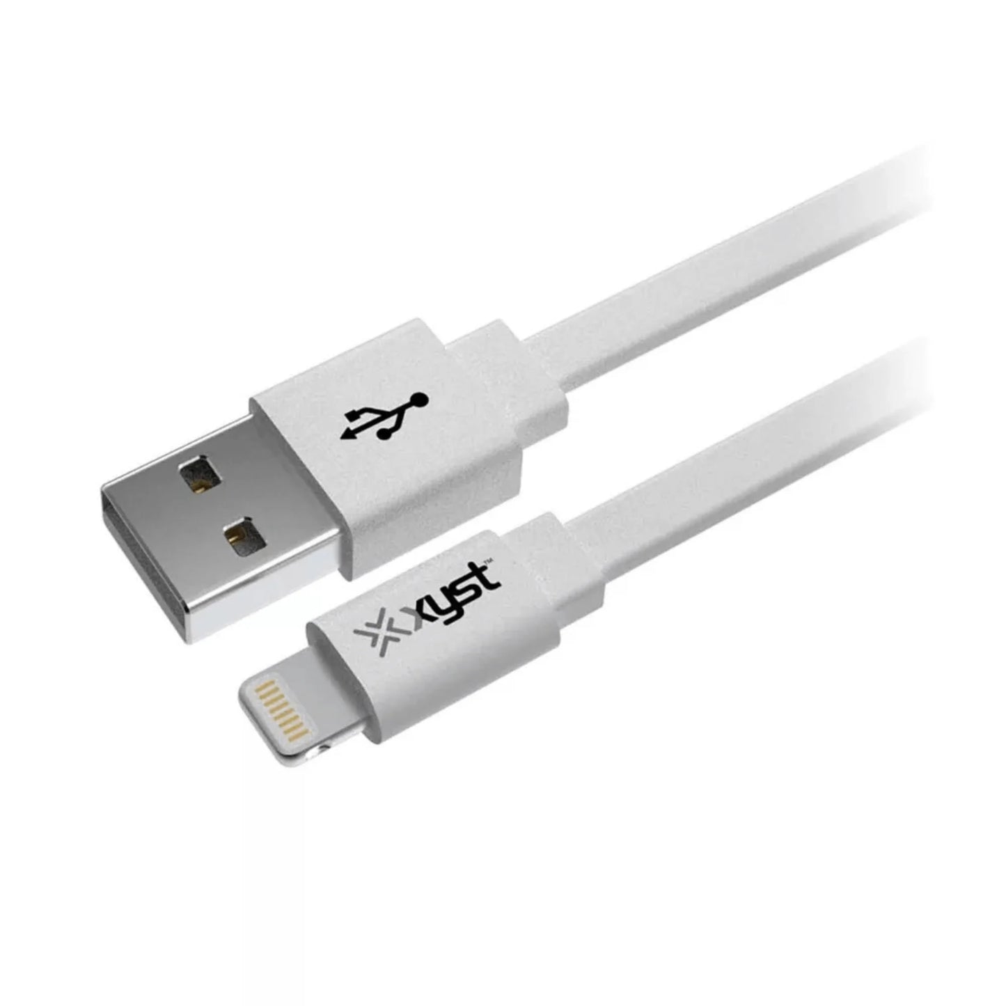 Xyst 2.4-Amp Dual USB Wall Charger with 4Ft Lightning Cable